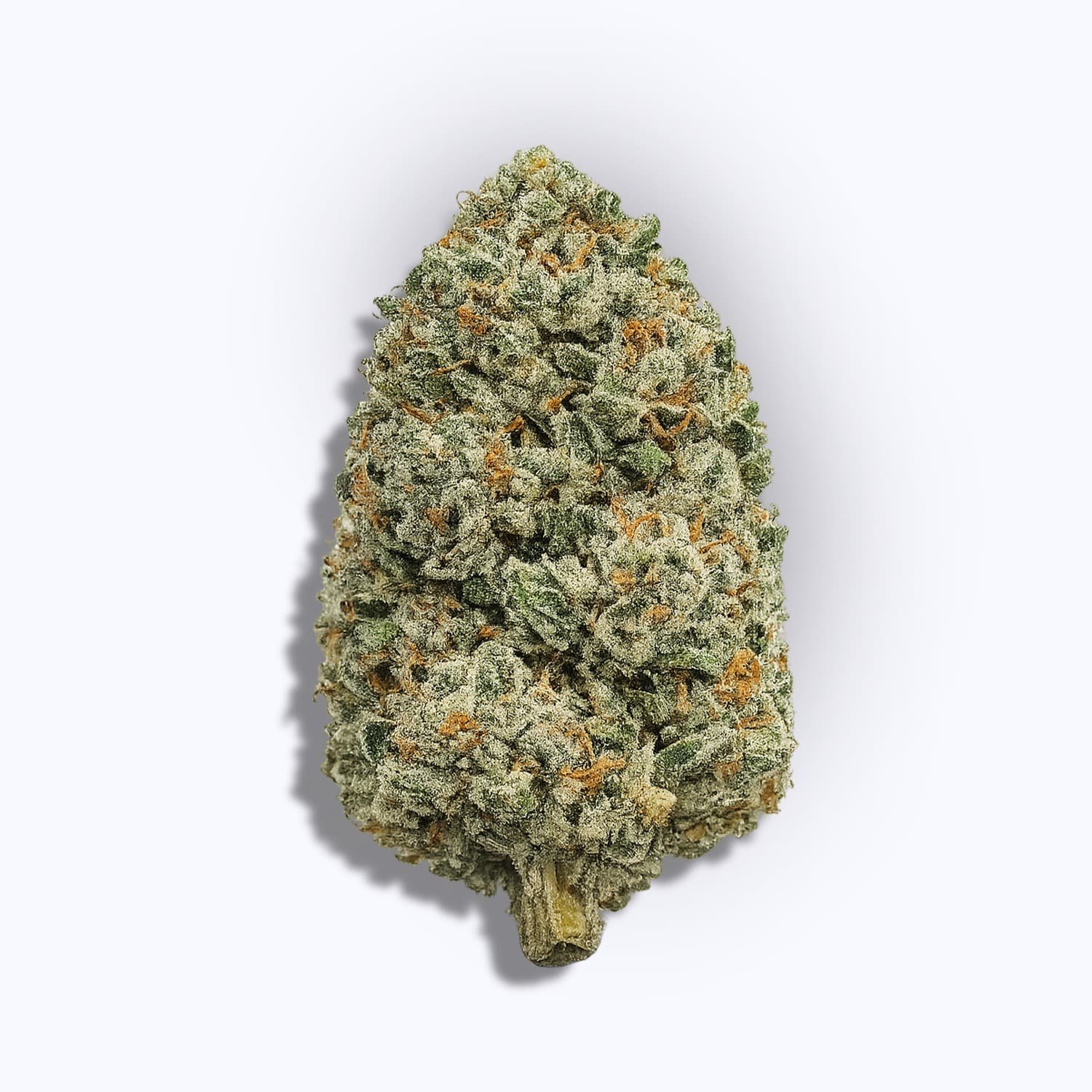 Bubblegum Runtz THCa Flower 4grams 1 Bubblegum Runtz THCa Flower 4grams